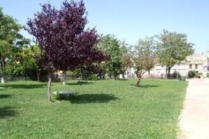 Caudete_Jardines_Piscina