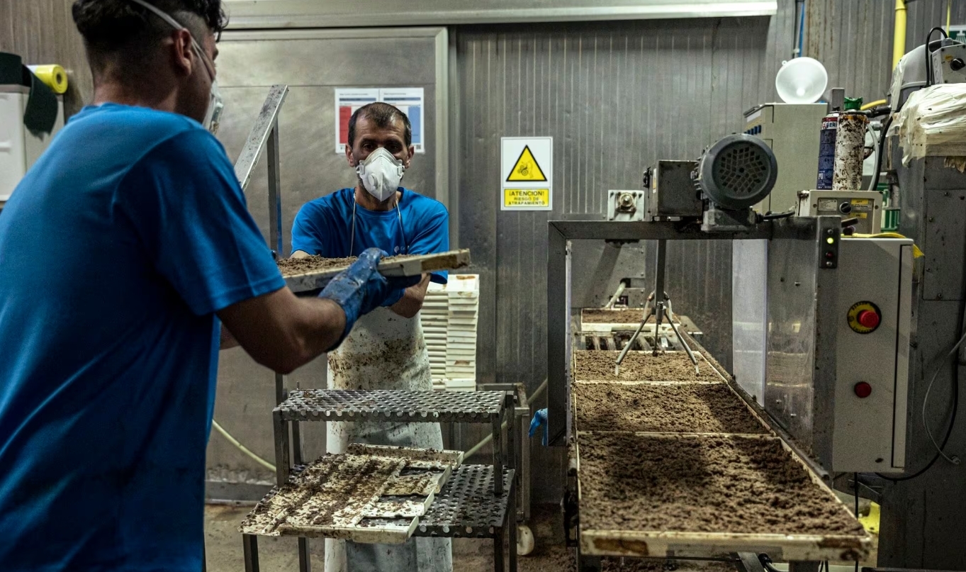 4655ad36381f8739ac7d2824521dcf05